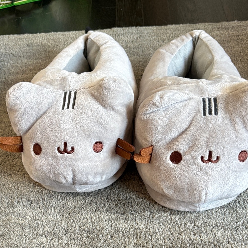 Pusheen cat slippers.
